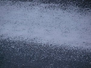 Salzlinie (Foto: Karl-Heinz Herrmann)