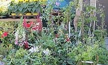 Wieder Ansturm in Braunsroda (Foto: Karl-Heinz Herrmann)