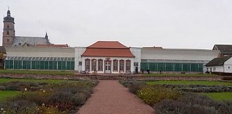 In voller Sch&ouml;nheit (Foto: Privat)