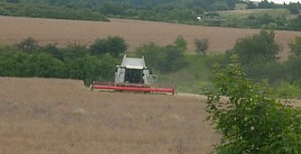 Gef&auml;hrliche Ernte? (Foto: Karl-Heinz Herrmann)