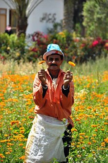 Mit Geld die Welt FAIR&auml;ndern? (Foto: Martin Werner / Eine Faire Welt)