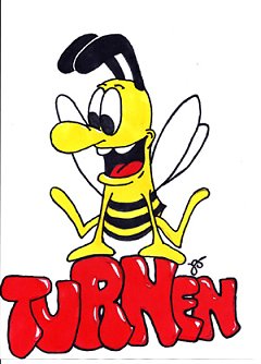 Herbstmeisterschaft im Mannschaftsturnen (Foto: Sv Gl&uuml;ckauf Sondershausen)