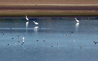 Zu den Kranichen (Foto: Karl-Heinz Herrmann)