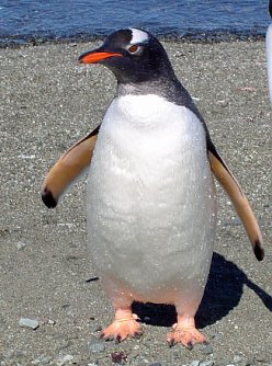 Klima wandelt Th&uuml;ringen (Foto: Rene Most)