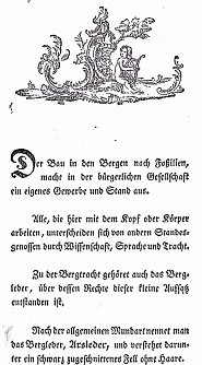 Das Arschleder (Foto: Archiv Hans-J&uuml;rgen Schmidt)