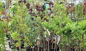 Vormerken und aufpassen erw&uuml;nscht (Foto: Karl-Heinz Herrmann)