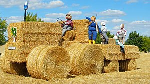 kn in K&uuml;rze (Foto: Privat)