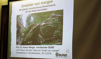 Kommunalwald wird kein Urwald (Foto: Karl-Heinz Herrmann)