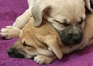 Jahreswende im Haus Wilma Am Anger! (Foto: Haus Wilma)