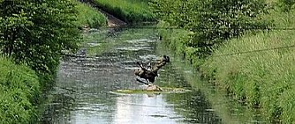 Ausbildung wird erweitert (Foto: Karl-Heinz Herrmann)