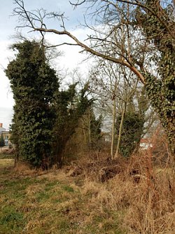 Mach mal halblang (Foto: Andreas Zeidler)