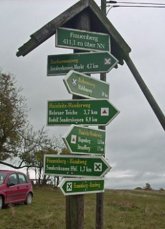 Wegebaum Frauenberg (Foto: Karl-Heinz Herrmann)