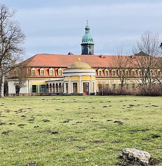 Das Schlossmuseum in Sondershausen. (Foto: Archivfoto: Janine Skara)