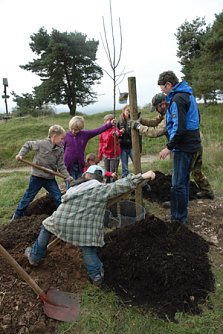 Baumpflanzung Naturpark (Foto: Naturpark Kyffh&auml;user)