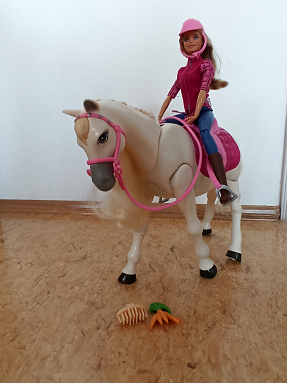 Pferd (Foto: )
