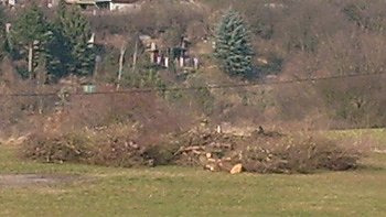 Holz f&uuml;r Osterfeuer (Foto: Karl-Heinz Herrmann)