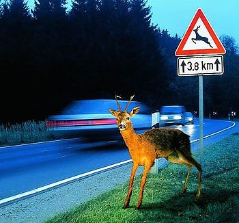 Vorsicht (Foto: ADAC)