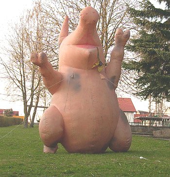 Scheinemastanlage Immenrode (Foto: Karl-Heinz Herrmann)