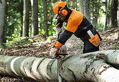 Motors&auml;ge (Foto: FFi GmbH)