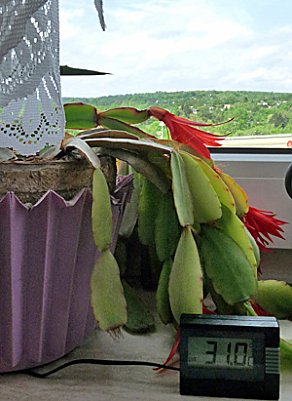 Was f&uuml;r ein Wetter (Foto: Karl-Heinz Herrmann)