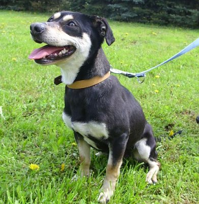 Twiggy (Foto: C. Knust)