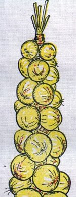 Zwiebelmarkt ruft wieder (Foto: Stadt Artern)