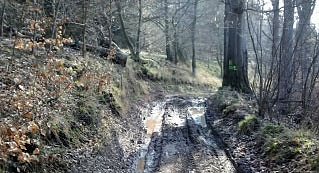 Steinberg-Rundweg vorl&auml;ufig meiden (Foto: Karl-Heinz Herrmann)