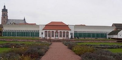 In voller Sch&ouml;nheit (Foto: Privat)