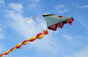 kn in K&uuml;rze (Foto: Marion Haas)