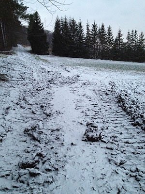 Probleme bei den Wanderwegen? (Foto: Privat)