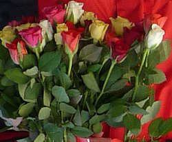 Blumengru&szlig; von den Linken (Foto: Karl-Heinz Herrmann)