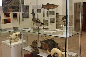 Internationaler Museumstag im Schlossmuseum Sondershausen (Foto: Karl-Heinz Herrmann)