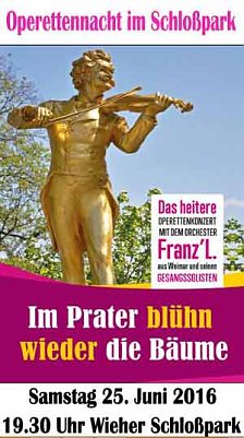 Die Operettennacht im Schlosspark Wiehe (Foto: Privat)