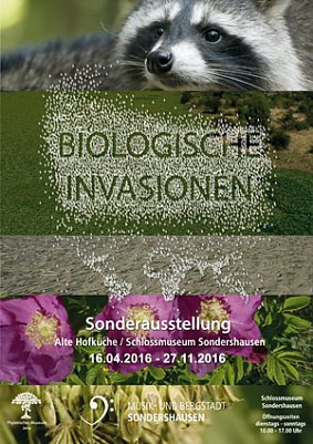 Erkundungsgang durch Sondershausen (Foto: Stadt Sondershausen)