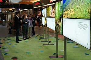 Hohe Schrecke im neuen Licht (Foto: Christin Zander)