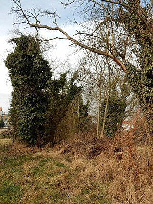 Mach mal halblang (Foto: Andreas Zeidler)