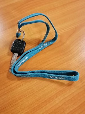 Autoschl&uuml;ssel  (Foto: )