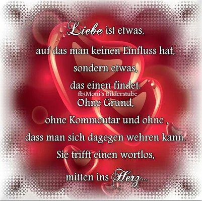 Liebe f&uuml;rs Leben (Foto: )