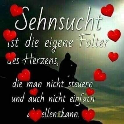 Liebe f&uuml;rs Leben (Foto: )