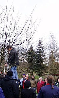 Baumschnitt im Kunsthof (Foto: Kunsthof Friedrichsrode)