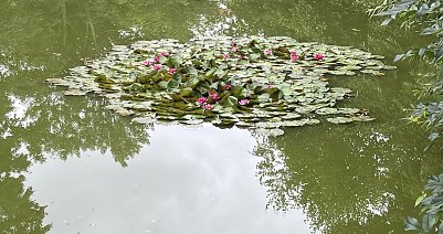 Gewitterneigung steigt wieder an Foto: oas