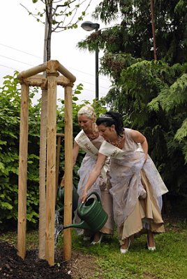 Neuer Laubk&ouml;nig (Foto: Ren&eacute; Wicht)