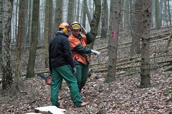 Motorsägenlehrgang im Forstamt Oldisleben (Foto: Forstamt Oldisleben) Motorsägenlehrgang im Forstamt Oldisleben (Foto: Forstamt Oldisleben)