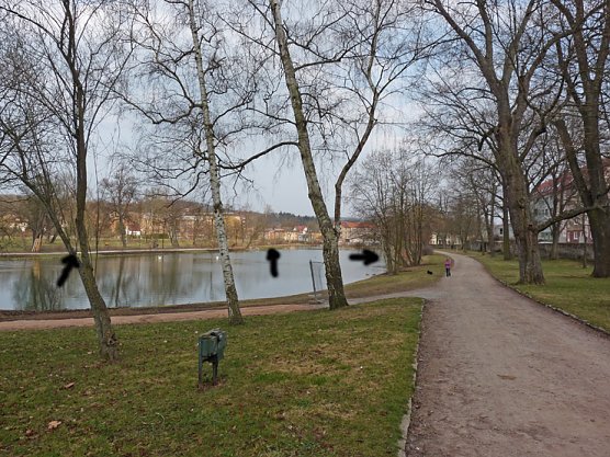 B&auml;nke im Schlosspark (Foto: Karl-Heinz Herrmann)
