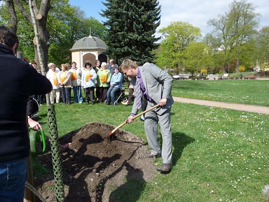 Baum gepflanzt (Foto: Karl-Heinz Herrmann)
