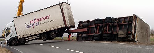 Aufgerichtet (Foto: Wiethoff)