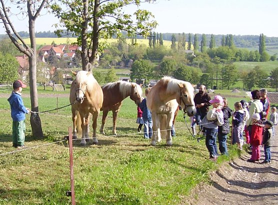 Was für ein schöner Tag (Foto: Kita Großfurra) Was für ein schöner Tag (Foto: Kita Großfurra)
