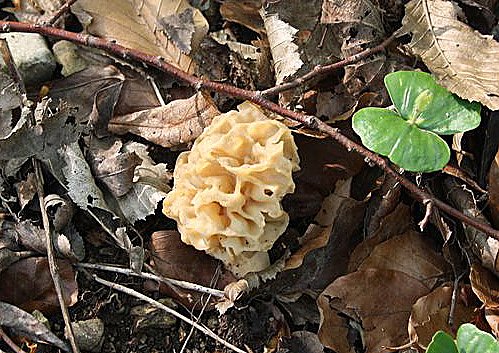 Entdecken Sie die Natur (Foto: Hans-J&uuml;rgen Schmidt)