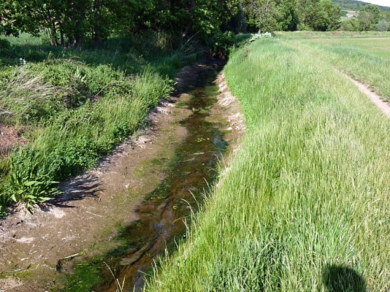 Nur noch Rinnsal (Foto: Karl-Heinz Herrmann) Nur noch Rinnsal (Foto: Karl-Heinz Herrmann)