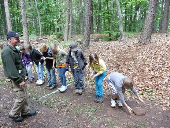 Waldjugendspiele begeisterten (Foto: Karl-Heinz Herrmann)